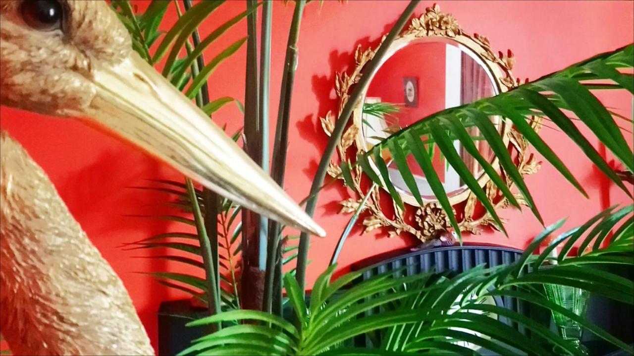 Little Robin B&B Даффтаун Екстер'єр фото