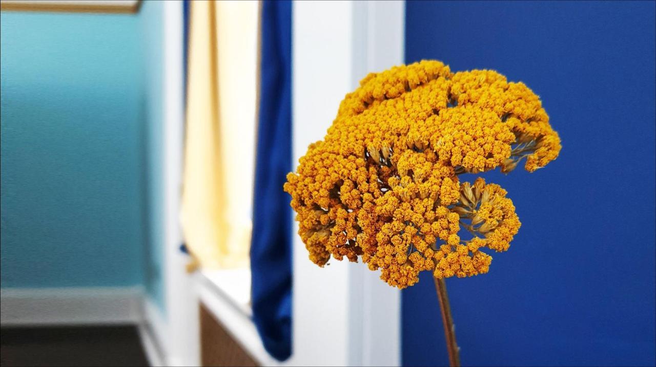 Little Robin B&B Даффтаун Екстер'єр фото